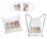 Maltańczyk pies ZESTAW GADŻETÓW