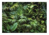 Фото обои джунгли 3D зеленые листья природа тропический лес обои 368X254