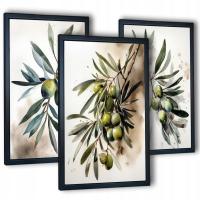 3 картины для столовой кухни под оливковой ветвью