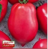 34. Pomidor - MALINOWY BOSMAN