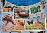 Zestaw 25 znaczków pocztowych - BAŻANTY