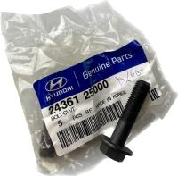 Винт шестерни распределительного вала Хюндай 24361-25000