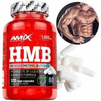 AMIX HMB способствует регенерации метаболит лейцин