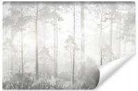 Фото Обои для спальни лес пейзаж в тумане природа деревья 405x270