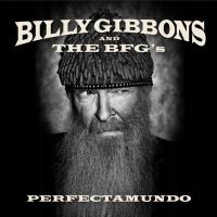 Gibbons Billy & The Bfg's: Perfectamundo - CD