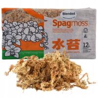 Mech Sphagnum 12L Besgrow Spagmoss blended torfowiec 150G podłoże pH 4,8