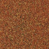 TROPICAL SUPERVIT GRANULAT 100 г КОРМА