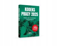 Трудовой кодекс 2025. Практический комментарий с примерами бесплатно