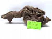 Korzeń CORAL nr 9222