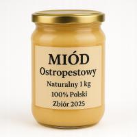 Miód Ostropestowy Naturalny 1kg 100% Polski Zbiór 2025