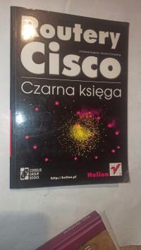 Routery Cisco. Czarna księga Innokenty Rudenko, Tsunami Computing