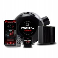 Активный выхлоп Panthera Leo Active Sound 6.0 HYUNDAI COUPE