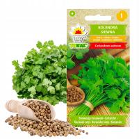 Toraf nasiona kolendra siewna świeże zioła do curry garam masala sałatek 2g