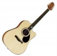 Акустическая гитара Samick GC-100 SC / N
