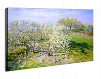 Apple trees in bloom, Claude Monet - obraz na płótnie 30x20 cm