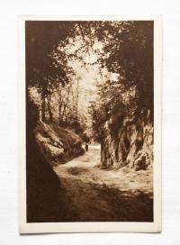 SANDOMIERZ - ULICA ŚWIĘTOJAŃSKA l. 50