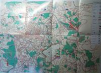 IZRAEL Jerozolima Betlejem Jerycho plan mapa