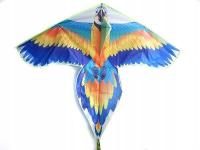 Kolorowy Latawiec W Kształcie Papugi Ary Kolorowy
