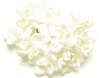 Magnolie białe (IAR) 10 szt. mniejsze