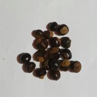 Guarana Cała 1 Kg Rafex
