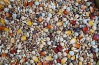 Корм для разведения 25 кг, Mrowca RL