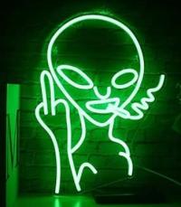 Zielony kaktus Neon Signs LED Lampka nocna USB