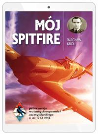 Мой Спитфайр