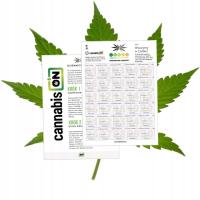 Przydatne narzędzie do ustalania porcji olejków konopnych CBD | cannabisON