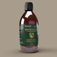 Минерализатор Volantor для здоровья голубей-500 мл