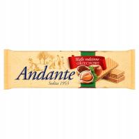 Andante Wafle rodzinne Orzechowe 130 g