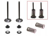 ZAWORY WYDECHOWE (KOMPLET 2 SZT. ZAWORÓW ZE SPRĘŻYNAMI I PODKŁADKAMI) YAMAH