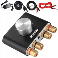 Усилитель Mozos M01g