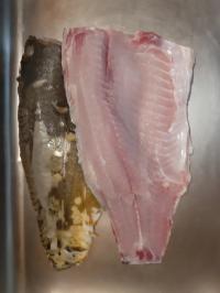 Karp filet świeży 1,60 kg