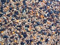 Karma dla gołębi MDM SKY RACE WINTER 25kg ZIMOWA Z ze uniwersalna RUMI-ROL