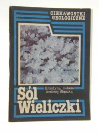 SÓL WIELICZKI KOLASA ŚLĄCZKA