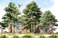 Fototapeta las pełen małych zwierząt dla dzieci, 290g PREMIUM M204