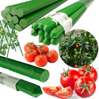 TYCZKA PALIK PODPORA POMIDOR ROŚLINY 180CM STAL TYCZKI DO POMIDORÓW 10x