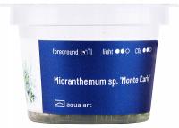 Завод AquaArt Micranthemum SP. Монте-Карло чашка 6см
