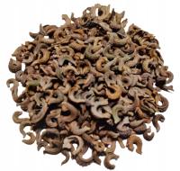 Календула лекарственная семена однолетних цветов лекарственные травы 100 грамм