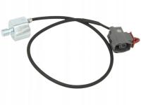 Delphi AS10253 Czujnik spalania stukowego