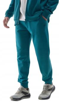 Спортивные штаны 4F Мужские спортивные джоггеры морской зеленый r L