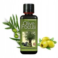 Удобрение для оливковых деревьев Olive FOCUS 300 ml Growth Technology