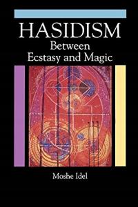 Idel, Moshe Hasidism: Between Ecstasy and Magic (SUNY series in Judaica: He