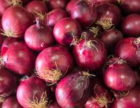 Лук красный 1кг