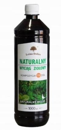 LEŚNA DOLINA EUKALIPTUS FORTE 1L DROGI ODDECHOWE