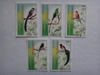 Kongo 1993, Ptaki