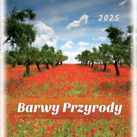 KALENDARZ ŚCIENNY PLANSZOWY 2025 ARTSEZON BARWY PRZYRODY