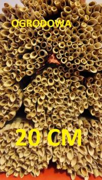 trzcina rurki trzcinowe 20 cm pszczola murarka ogrodowa