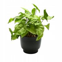 Керамическая оболочка на ножке Черная