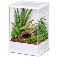 TERRARIUM DLA MODLISZEK PAJĄKÓW Z DONICZKĄ NA ROŚLINY POKRYWA NA MAGNESY
